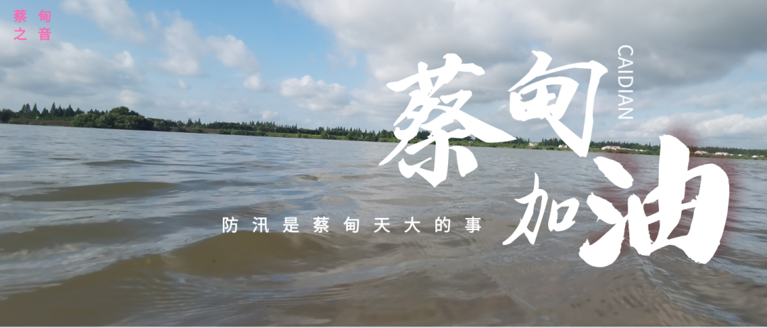 蔡甸區(qū)啟動防汛ⅰ級應(yīng)急響應(yīng)，做好鋪土釘防汛木樁工作