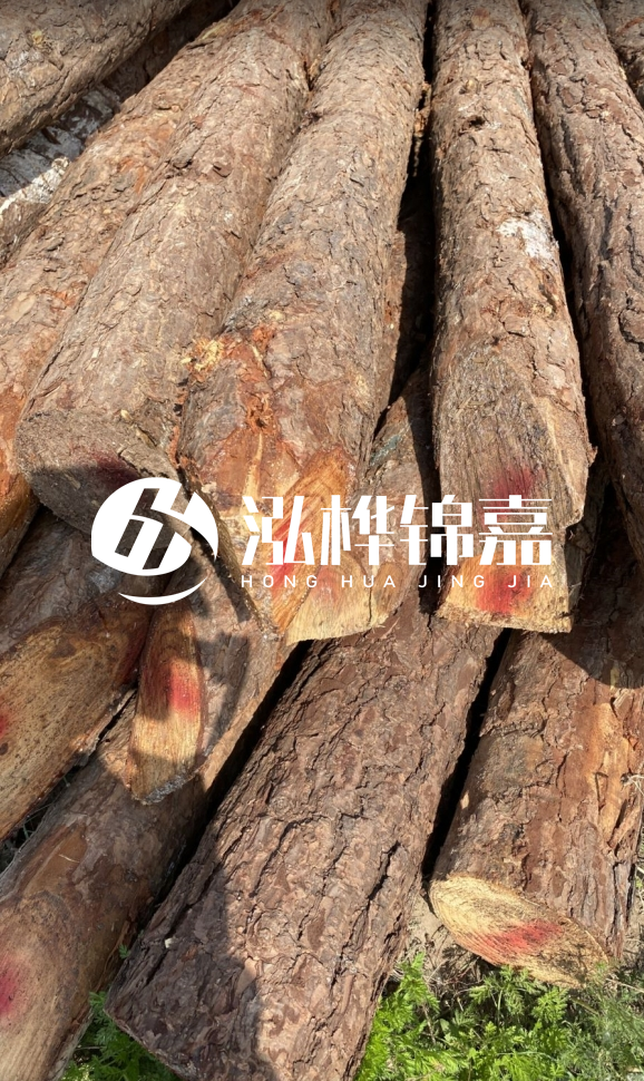 <strong>松木樁和杉木樁的用途區(qū)別？哪個(gè)更適合打樁用？</strong>