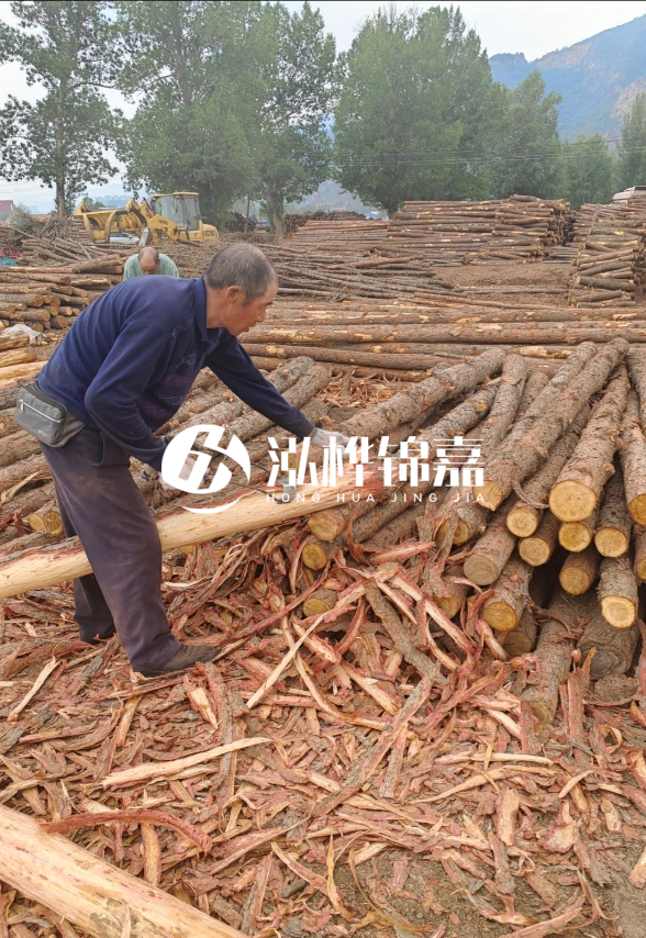 東營(yíng)河道清淤專業(yè)施工隊(duì)-不同型號(hào)挖機(jī)清淤能力對(duì)比？