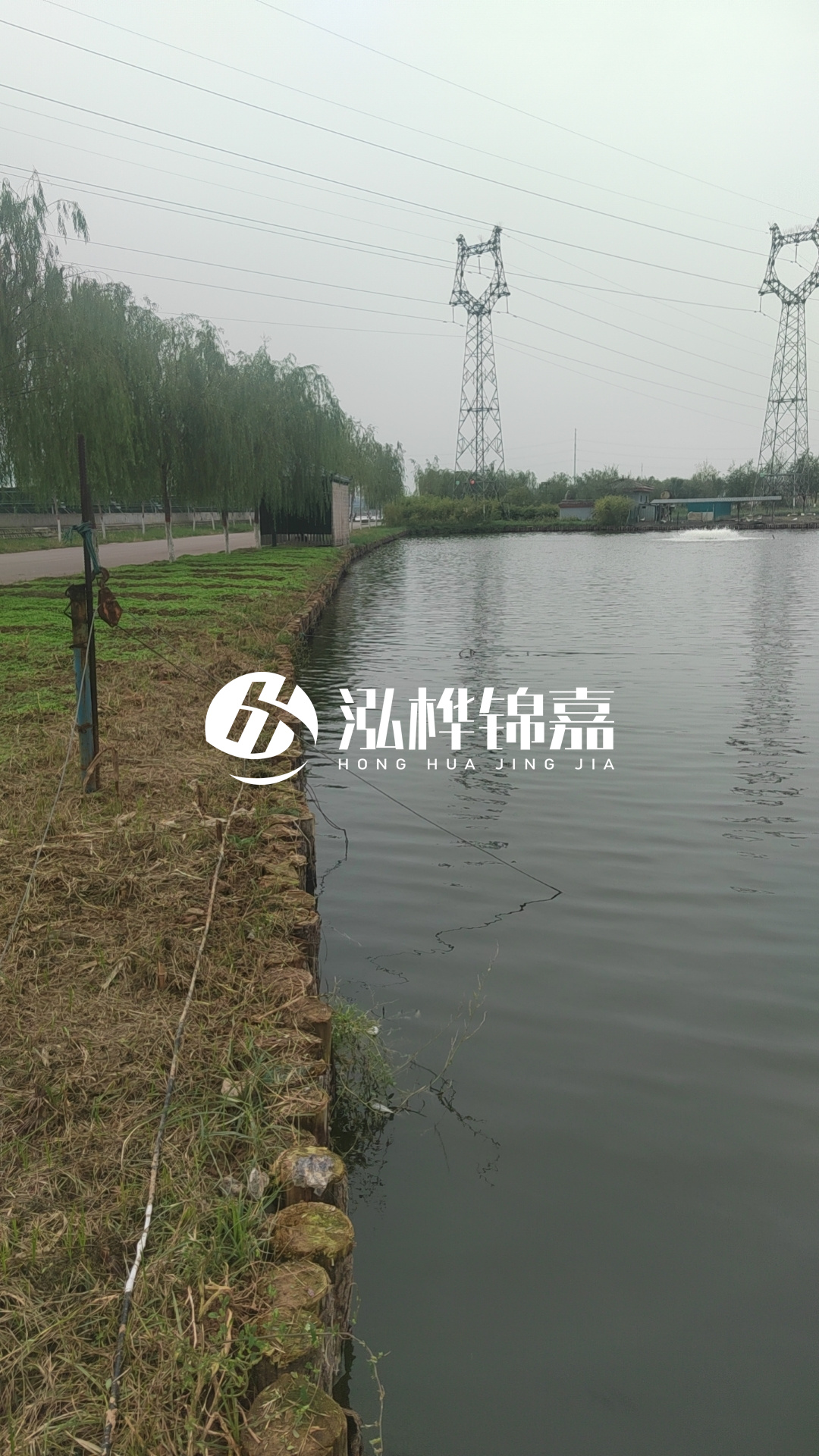 大同河道打松木樁施工-護坡木樁新的好還是舊的？