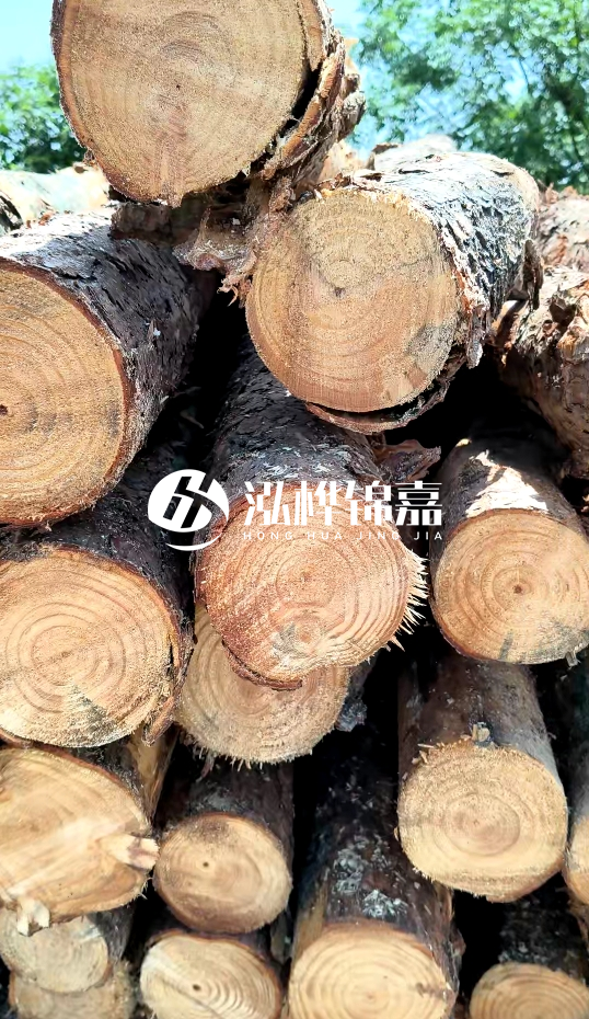 周口挖機打木樁專業(yè)施工-杉木樁施工打樁怎么打？