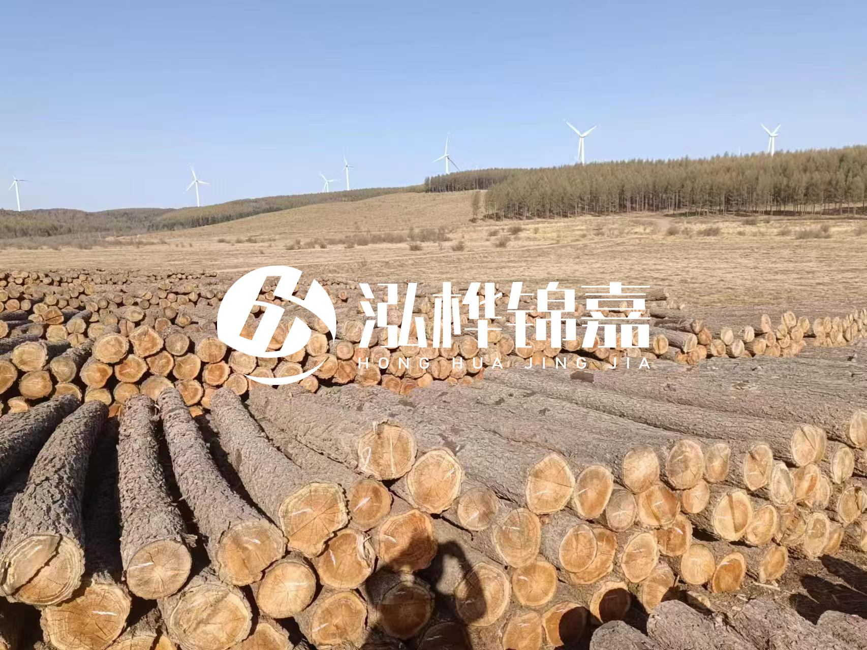 咸寧松木樁源頭廠家-哪里能買到質(zhì)量好的松木樁打樁木？