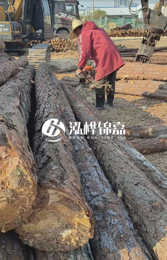 長(zhǎng)沙打樁木批發(fā)廠家在哪里？聯(lián)系方式是什么？