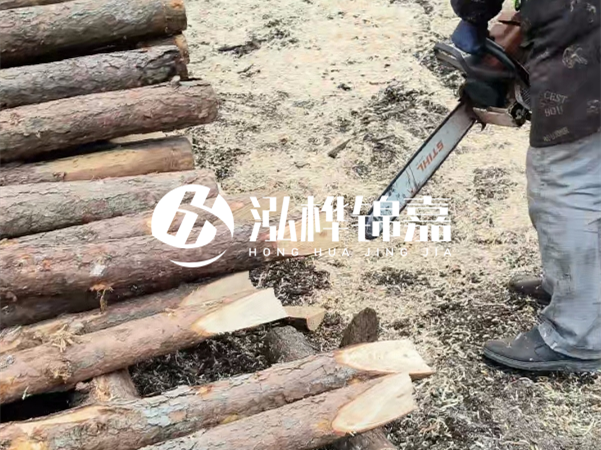 杉木樁批發(fā)廠家哪家好？產(chǎn)地直供渠道推薦！