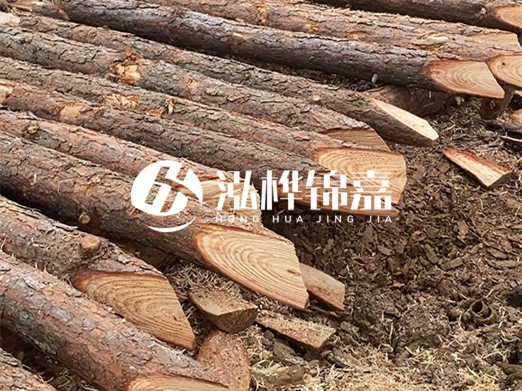 松木樁削尖的費用怎么算？按根收費還是包含在單價里？