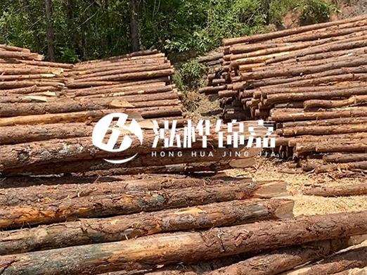 松木樁的運(yùn)輸費(fèi)用是否包含卸車費(fèi)？卸貨時(shí)需要注意哪些安全問題？