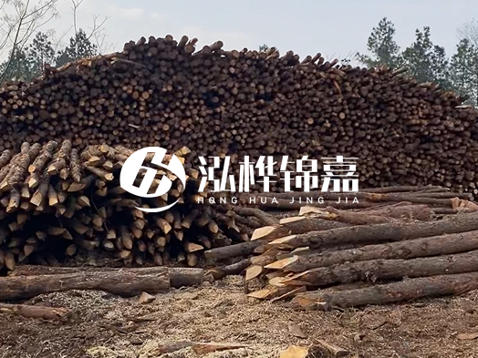 地基打木樁用什么木材 - 地基打木樁的能撐幾年？
