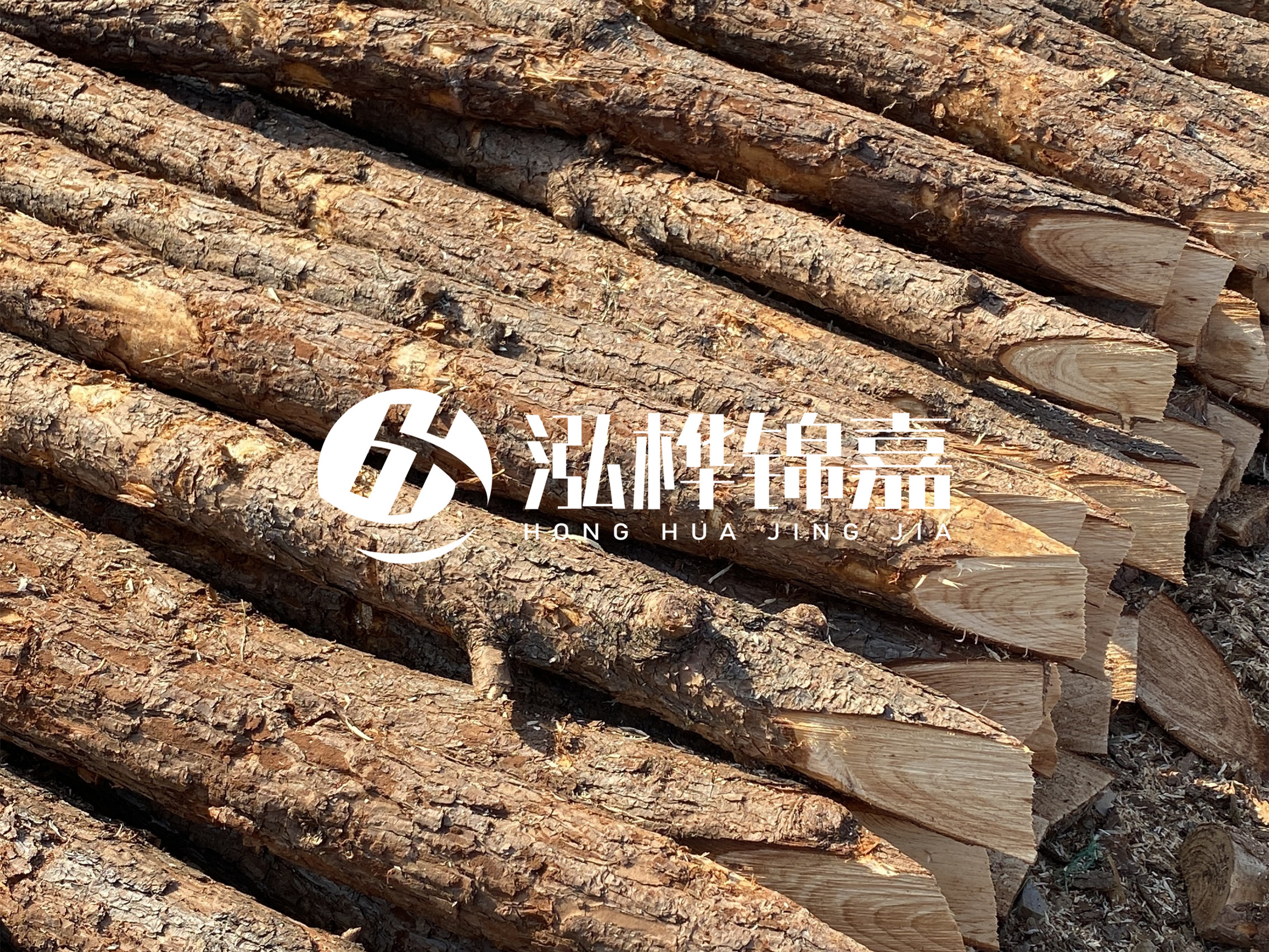 8 米超大直徑松木樁的價格是多少？帶皮和去皮松木樁價格差多少？