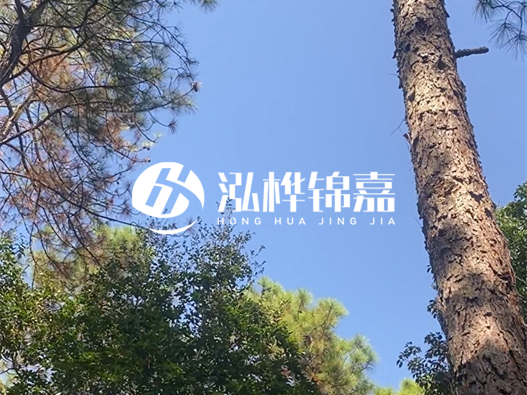 松木樁廠家的供貨能力強不強-怎么才能聯(lián)系到松木樁廠家？