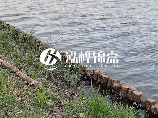 防洪松木樁施工重要性？河道打木樁的位置怎么確定？