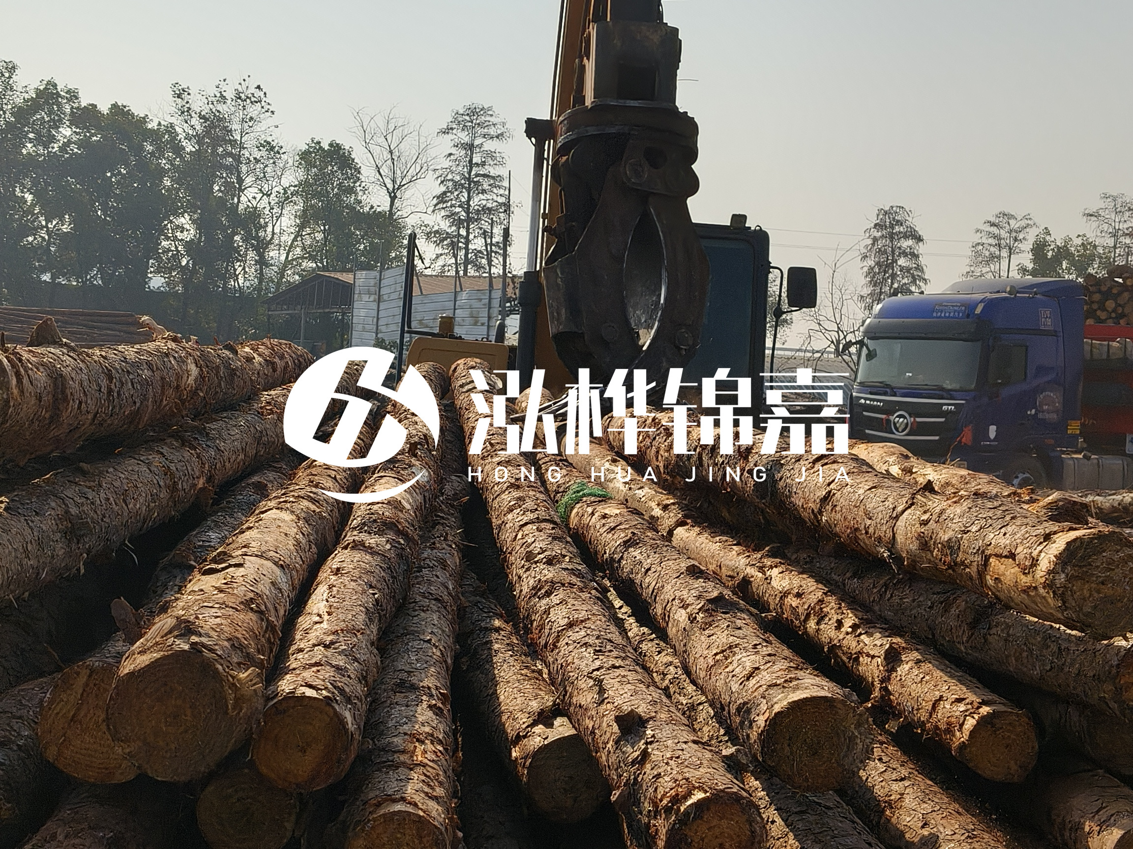 松木樁可以用來做什么？常用于哪些工程？