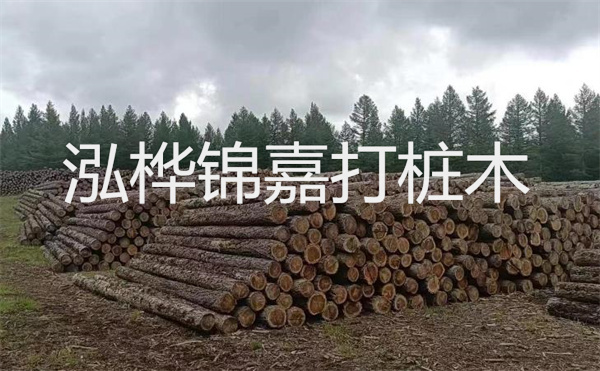 選擇紅磚護(hù)坡，打造獨(dú)特的美麗景觀
