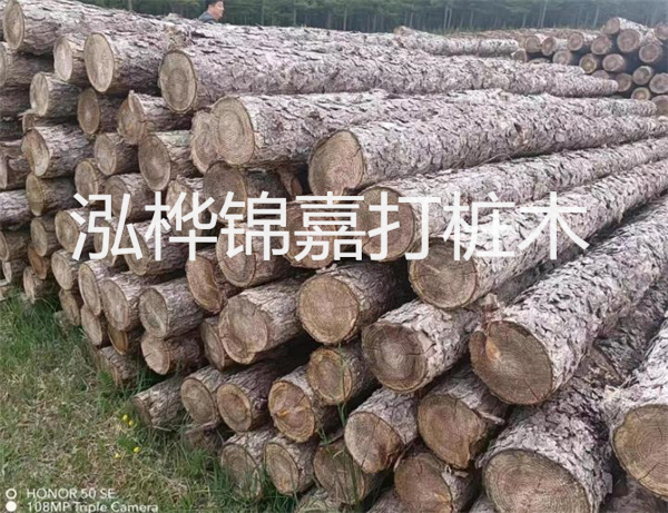高效修補(bǔ)，保駕護(hù)航！水泥路面高強(qiáng)度修補(bǔ)料為您解決煩惱！