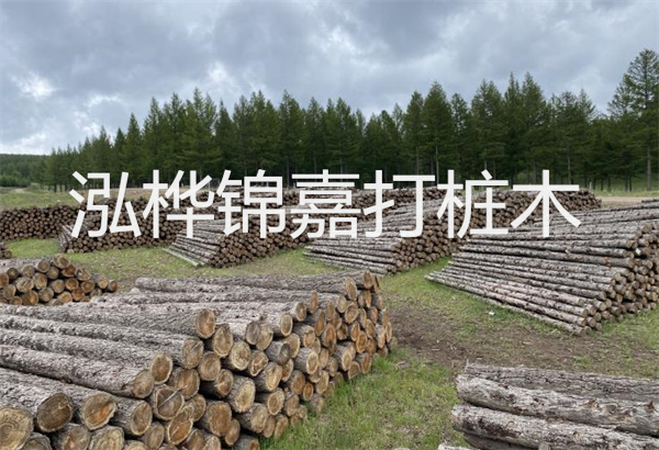 預制松木樁施工工藝：優(yōu)質材料，高效快速，堅固耐用