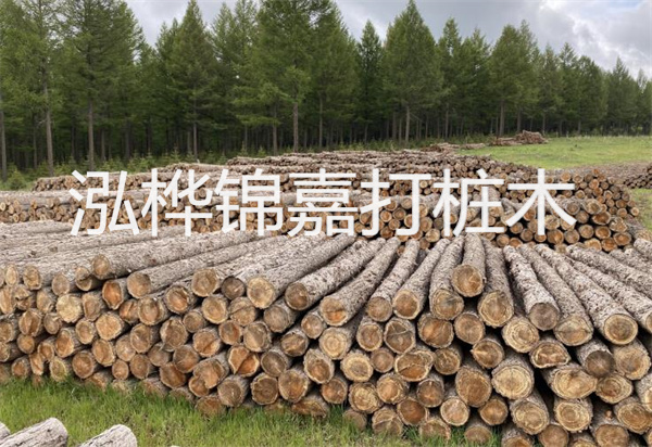 松木樁能施工嗎？探究視頻揭秘真相！