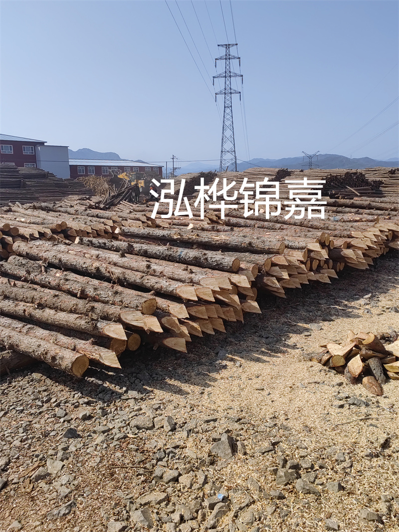 深入了解松木樁基礎施工單價，助力工程建設順利進行！