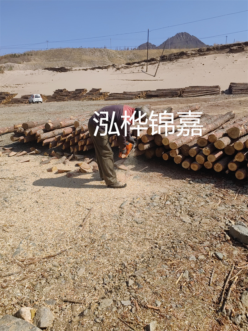松木樁駁岸施工，打造水上風景線