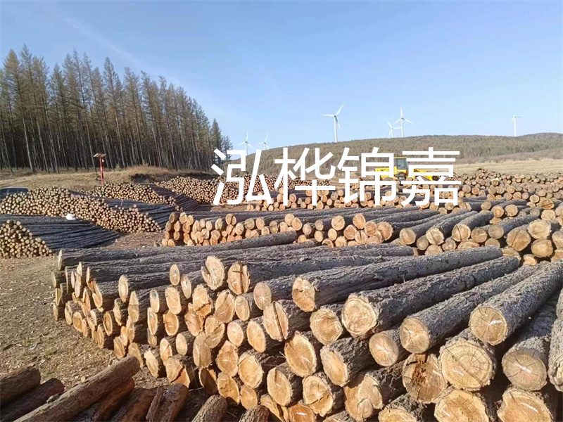 用路基松木樁施工方案提升工程質量描述：了解路基松木樁施工方案的重要性，提高工程質量關鍵詞：路基松木樁，施工方案，工程質量