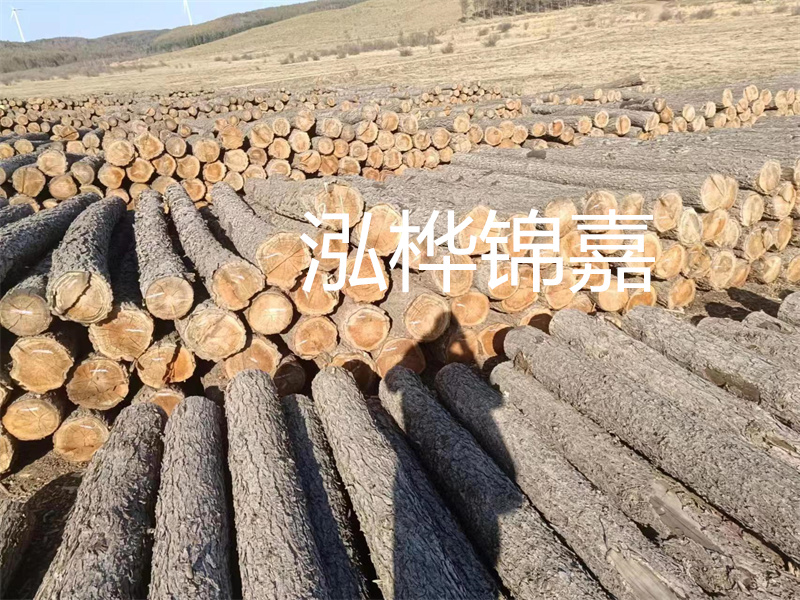選擇合適的路緣石尺寸，打造美麗道路