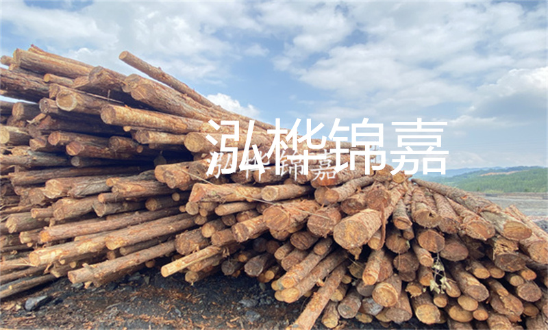 濮陽(yáng)松木樁，卓越品質(zhì)，安全可靠