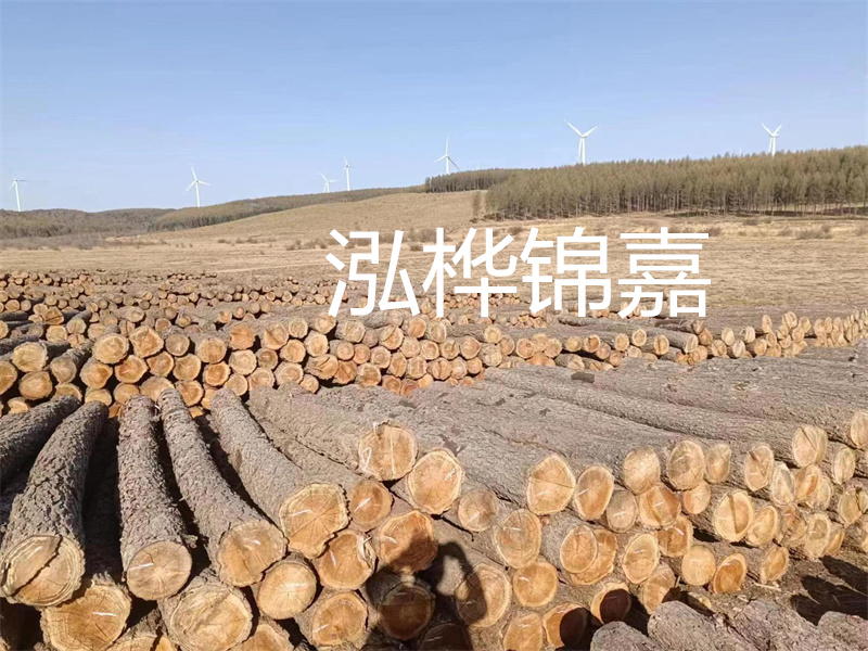 濟(jì)南哪里賣松木木樁？